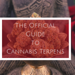 The Official Guide to Cannabis Terpenes