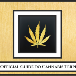 The Official Guide to Cannabis Terpenes