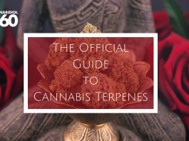 The Official Guide to Cannabis Terpenes