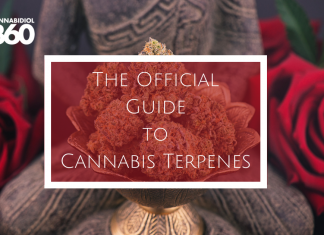 The Official Guide to Cannabis Terpenes