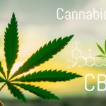 CBD Oil