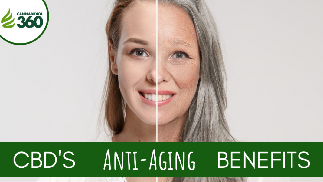 CBD's Anti Aging Benefits