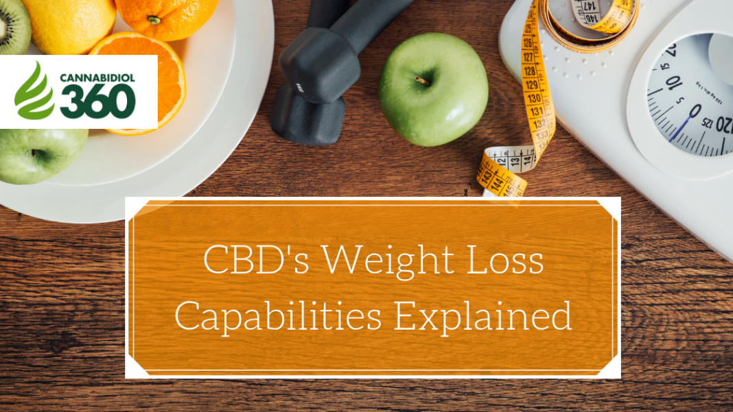 CBD's Weight Loss Capabilities Explained