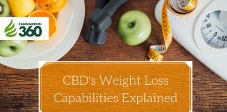 CBD's Weight Loss Capabilities Explained