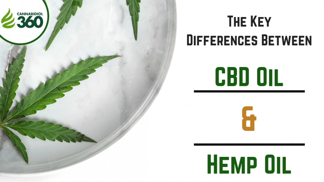 The Key Differences Between CBD Oil & Hemp Oil