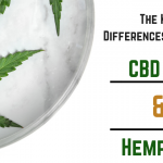 The Key Differences Between CBD Oil & Hemp Oil