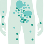 Endocannabinoid System