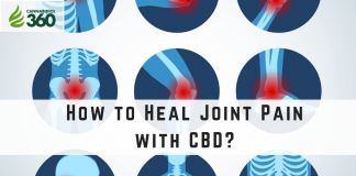 How to Heal Joint Pain with CBD?