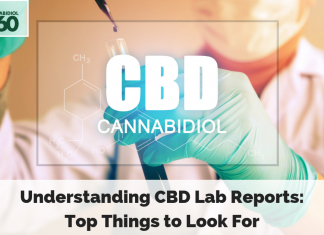 Understanding CBD Lab Reports: Top Things to Look For