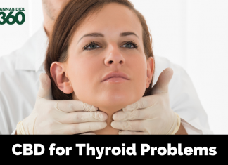CBD for Thyroid Disorders