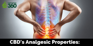 What are the Analgesic Properties of CBD?