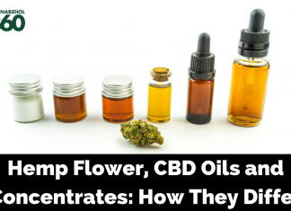 Comparing Hemp Flower, CBD Oils, and CBD Concentrates