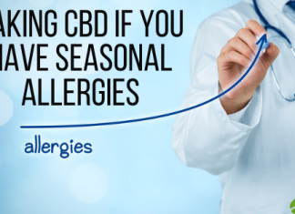 Taking CBD if You Have Seasonal Allergies-2