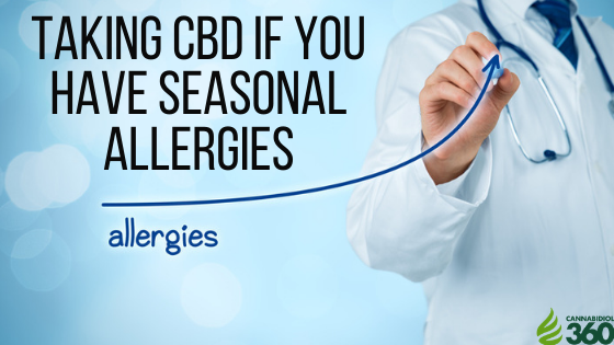 Taking CBD if You Have Seasonal Allergies-2
