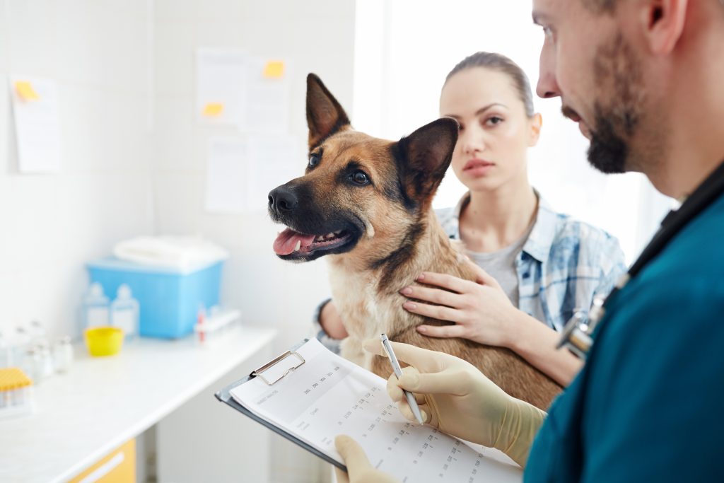 Tell your vet about your pet on CBD