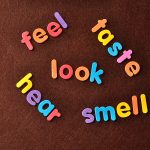 The words senses, feel, taste, look, hear and smell on a brown background