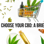 How to Choose Your CBD_ A Brief Guide