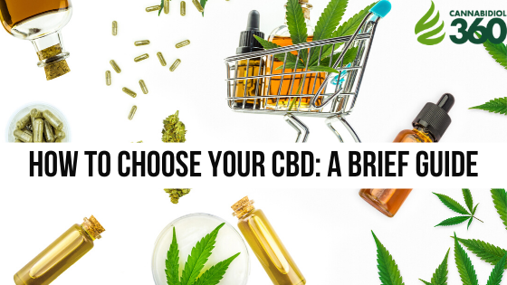 How to Choose Your CBD_ A Brief Guide
